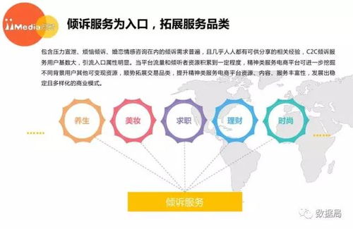 2017上半年中国精神类服务电商市场研究报告